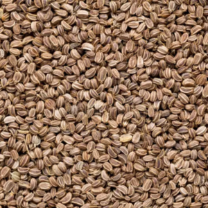 celery seeds export from India