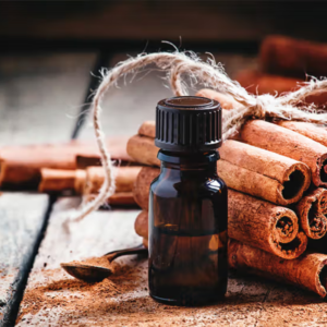 Essential oils Cinnamon oil exports from India – Premium Cinnamomum zeylanicum oil