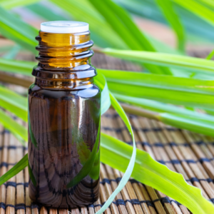 Essential oils Citronella oil exports from India – Premium Cymbopogon winterianus oil