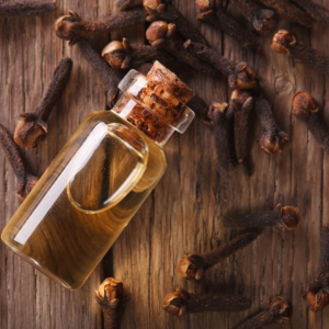 Essential oils Clove oil exports from India – Premium Syzygium aromaticum oil