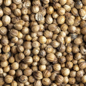 coriander seeds export from India