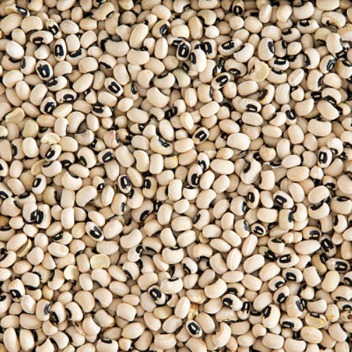 Pulses Cow peas exports from India – Premium Lobia bulk supply