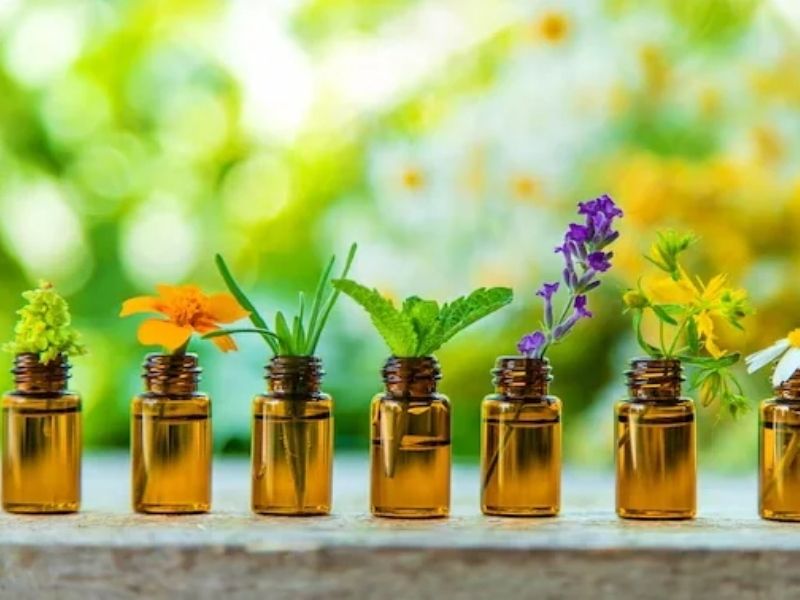 Essential Oils: Nature’s Pure Essence for Wellness, Beauty, and Global Use