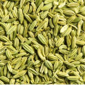 fennel seeds export from India