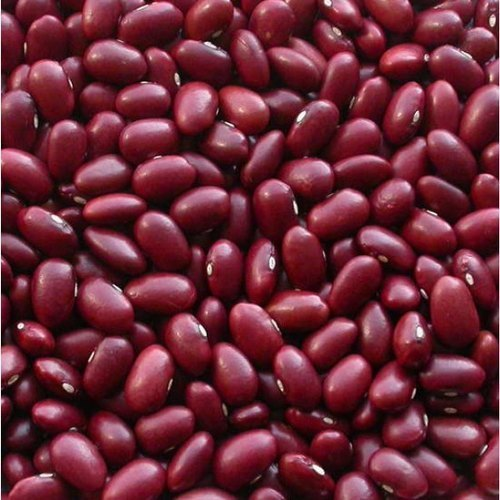 Pulses Kidney beans exports from India – Premium Rajma bulk supplier