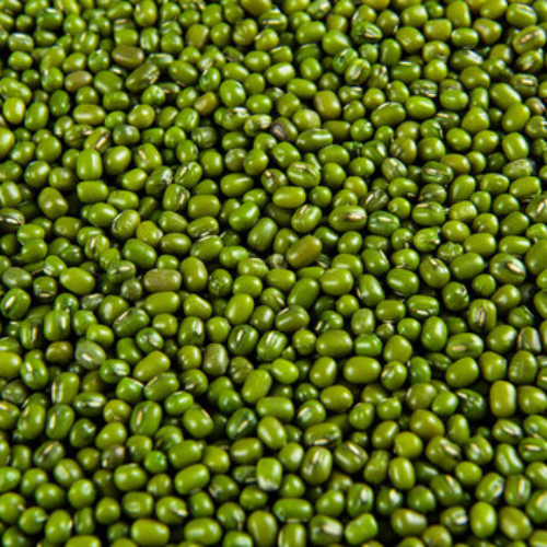 Pulses green gram exports from India – premium moong dal bulk supply