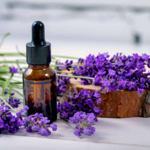Essential oils Lavender oil exports from India – Premium Lavandula angustifolia oil