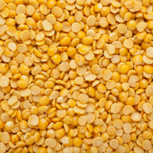Pulses Pigeon peas exports from India – Premium Toor Dal bulk supplier