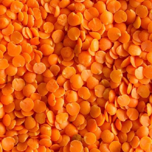 Pulses red lentils exports from India – premium Masoor Dal bulk supply