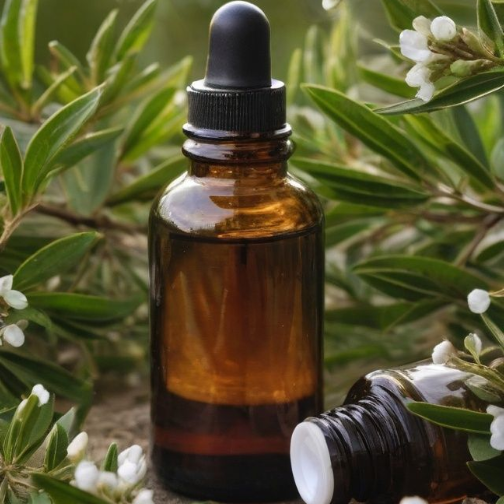 tea tree essential oil bulk exporter Tea tree oil exports from India – Premium Melaleuca alternifolia oil