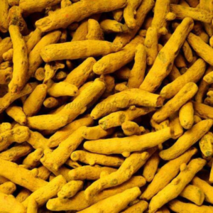 turmeric export from India