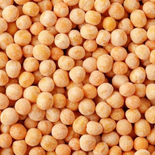 Pulses yellow peas exports from India – premium white vatana peas
