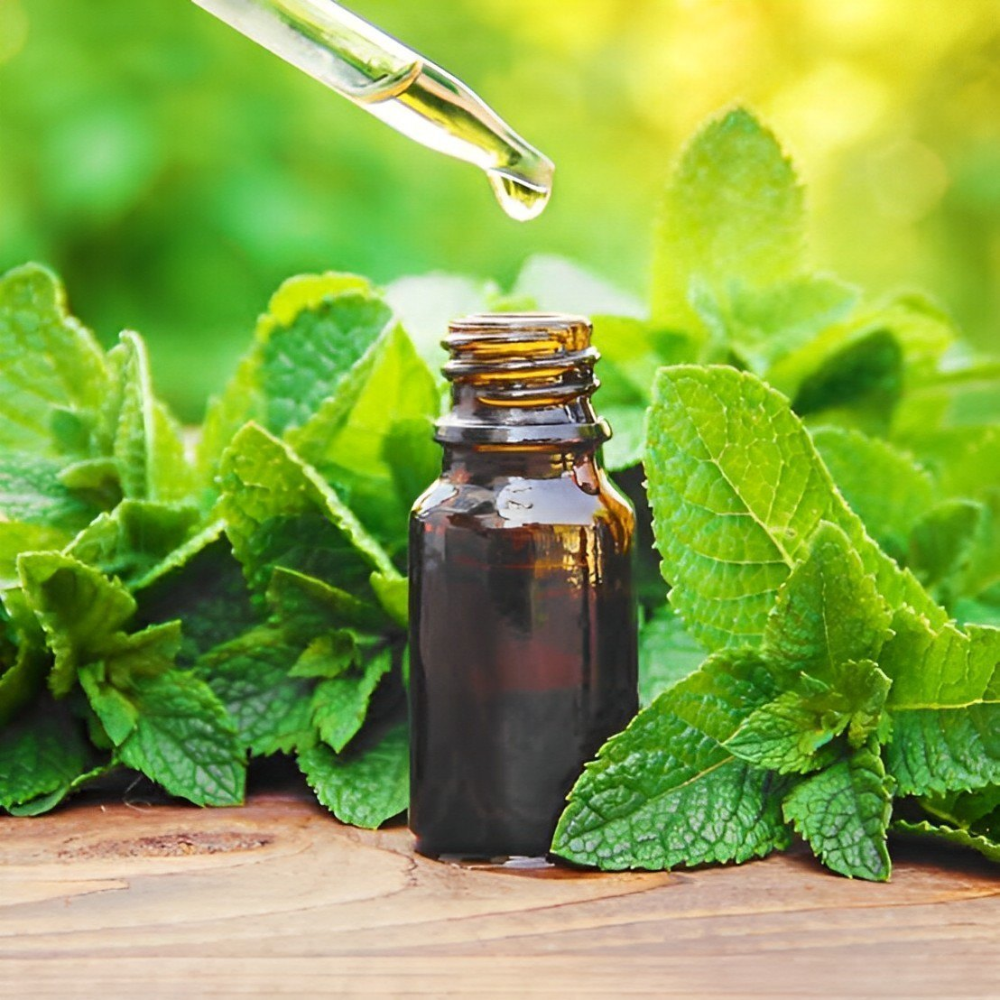 peppermint essential oil exporter from india Peppermint oil exports from India – Premium Mentha piperita essential oil